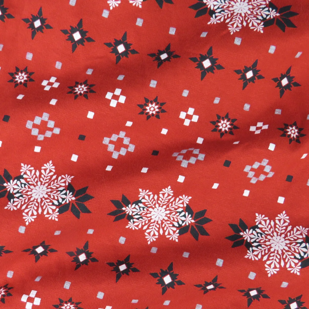 Organic Cotton Holiday Matching Family Pajamas