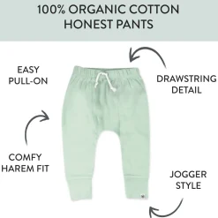 4-Pack Organic Cotton Honest Pants