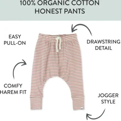 2-Pack Organic Cotton Honest Pants