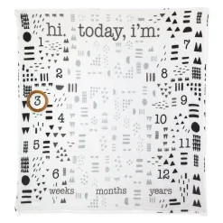 PICTURE-PERFECT Organic Cotton Muslin Milestone Blanket Gift Set