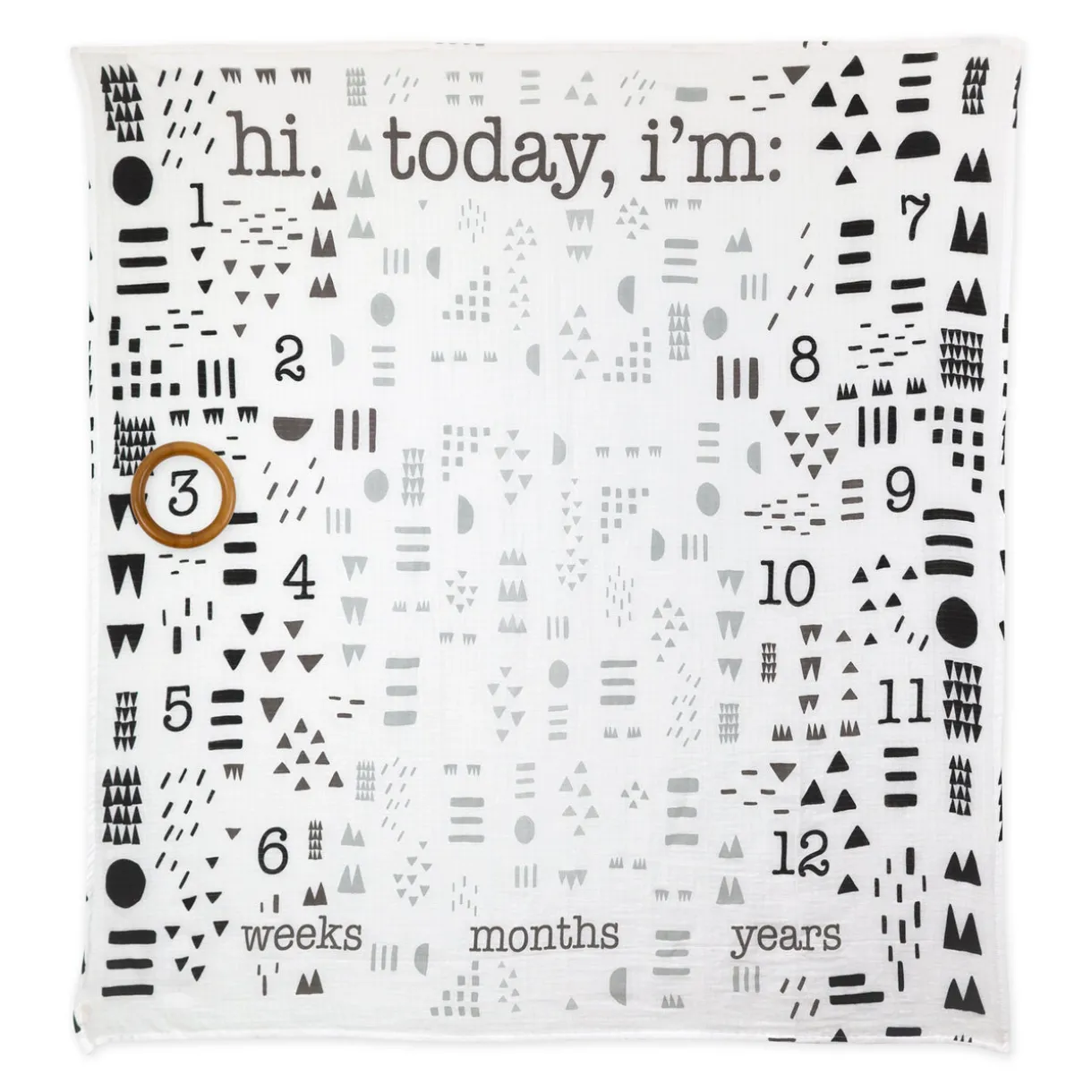 PICTURE-PERFECT Organic Cotton Muslin Milestone Blanket Gift Set
