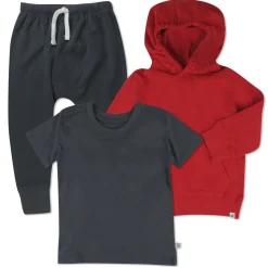 Toddler 3-Piece Hooded Pullover, Short Sleeve T-Shirt & Honest Pant Set